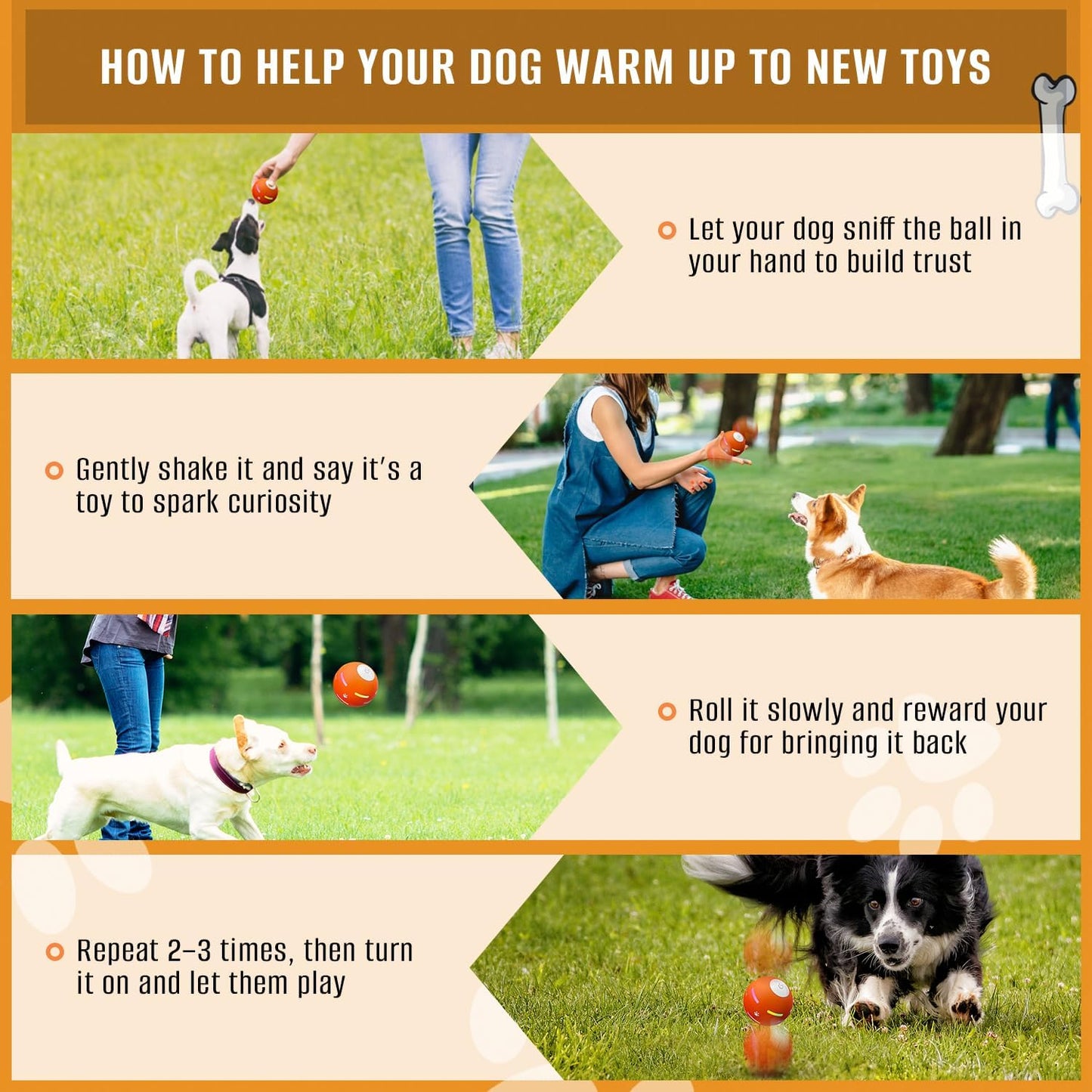 Viral Dog Toy Ball
